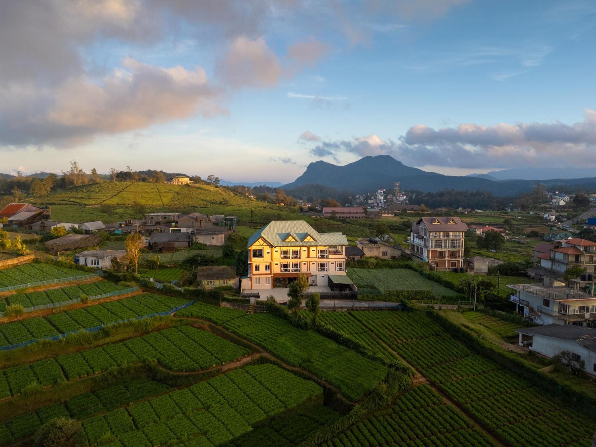 Suite with Mountain View