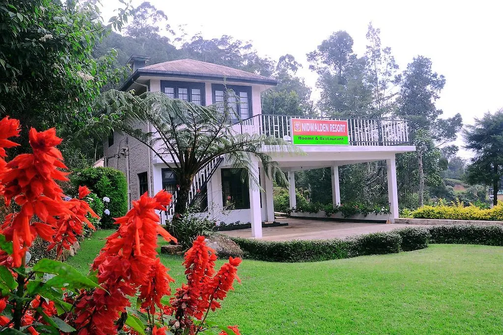 Yoho Nidwalden Resort-1