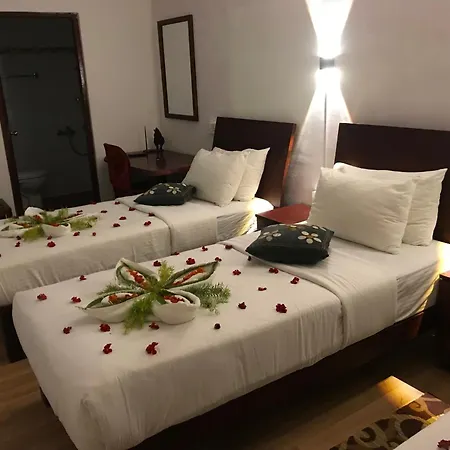 Marigold Home-3