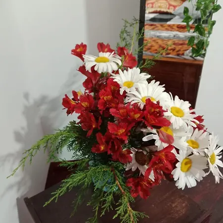 Aloka Home Stay-2