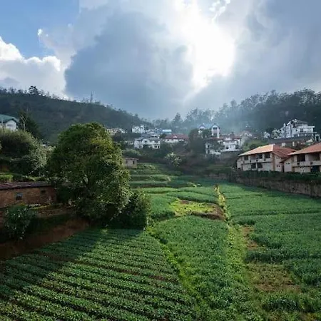 High Garden Hotel-2