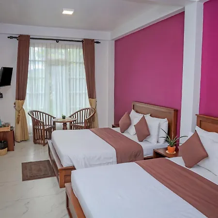 The Mount View Single Tree Hotel-2