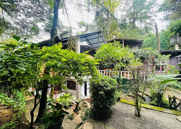King Fern Cottage Nuwara Eliya