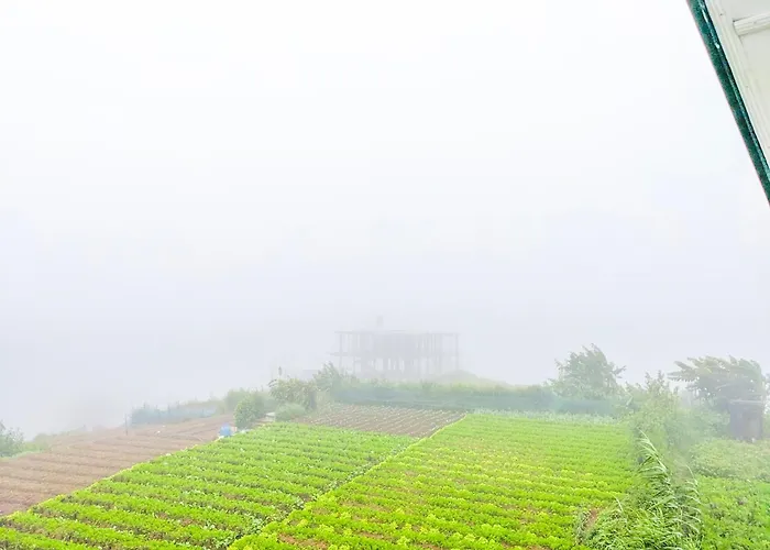 Ivy Home Nuwara Eliya